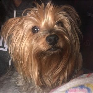 Meet your Posher, Darleen